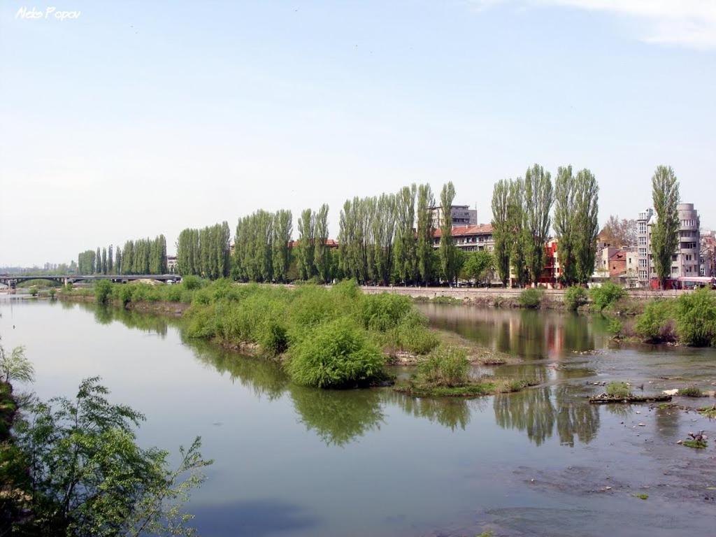 Riverside Apartments Plovdiv With Free Parking Eksteriør bilde